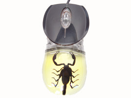 AUTHENTIC 'BLACK SCORPION - GLOW IN THE DARK' WIRED COMPUTER MOUSE