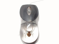 AUTHENTIC 'GHOST SPIDER' WIRED COMPUTER MOUSE