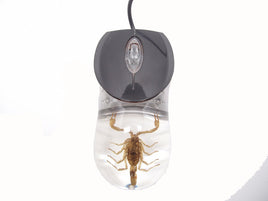 AUTHENTIC 'GOLDEN SCORPION' WIRED COMPUTER MOUSE