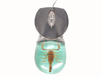 AUTHENTIC 'GOLDEN SCORPION - ON SAND' WIRED COMPUTER MOUSE