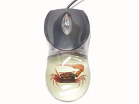 AUTHENTIC 'RED FORTUNE CRAB' WIRED COMPUTER MOUSE