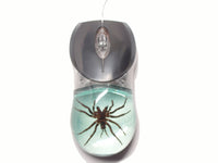 AUTHENTIC 'TARANTULA - SAND' WIRED COMPUTER MOUSE