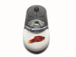 AUTHENTIC 'PLATY FISH' WIRELESS COMPUTER MOUSE