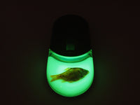 AUTHENTIC 'ROSY BARB  - GLOW IN THE DARK' WIRELESS COMPUTER MOUSE