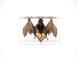 AUTHENTIC 'BAT' RESIN PAPERWEIGHT/DISPLAY