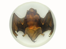 AUTHENTIC 'LARGE BAT' RESIN DOME PAPERWEIGHT/DISPLAY