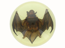 AUTHENTIC 'LARGE BAT' RESIN GLOW IN THE DARK DOME PAPERWEIGHT/DISPLAY